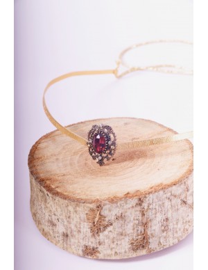 Tiara or hair accessory...