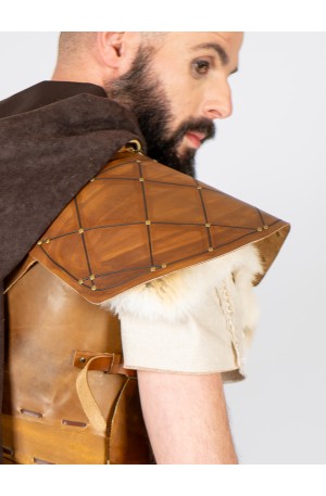Aged Leather Shoulder Guard...