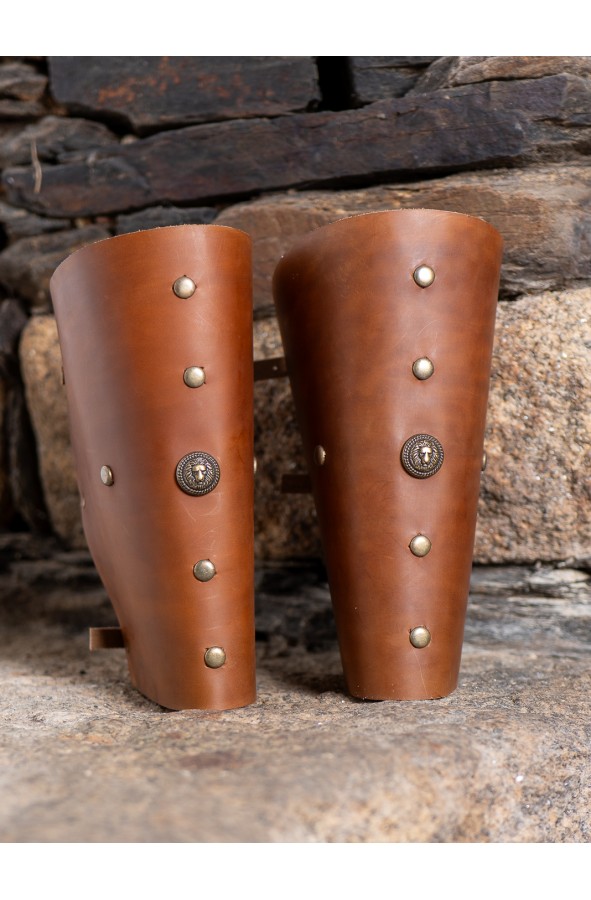 Roman brown leather greaves with lion...
